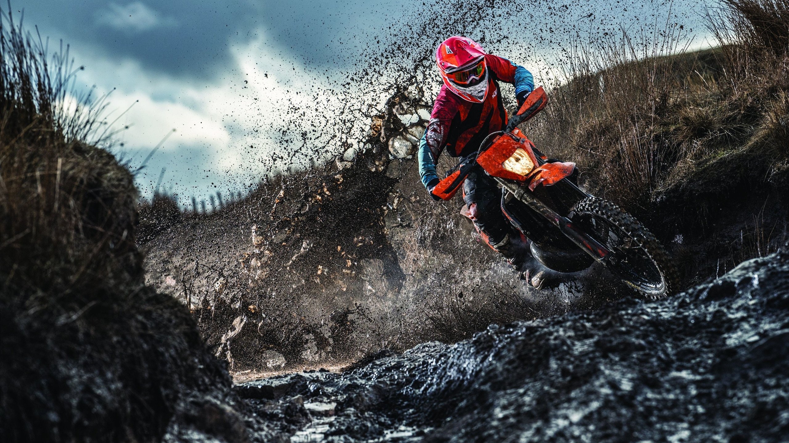 美网碾压温网?穆雷刷新纪录背后的硬地革命与草地质疑